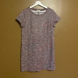 Loft women’s medium petite shift dress